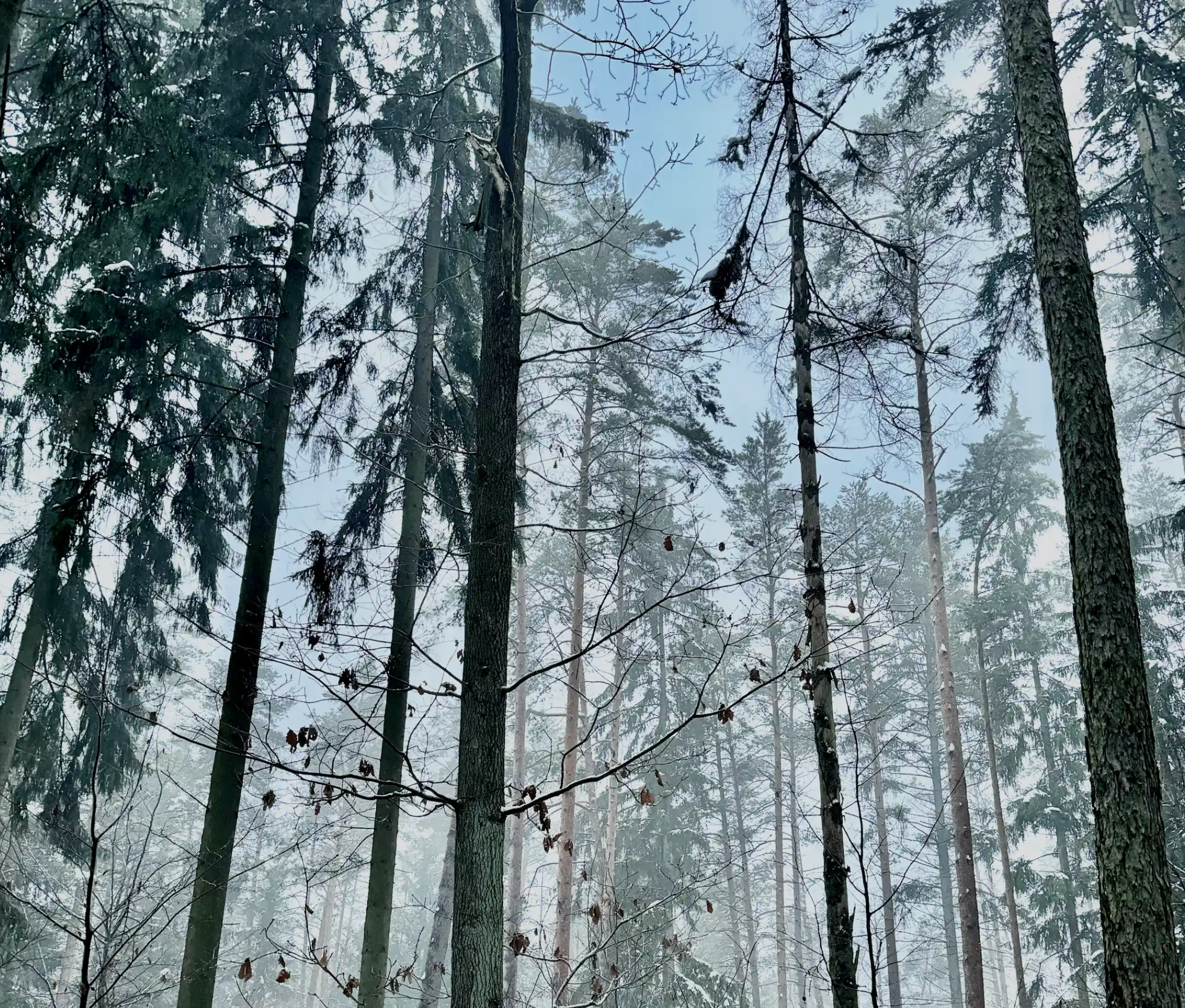 Recycling und Nachhaltigkeit